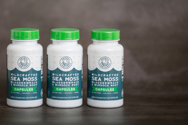 Sea Moss Supplement and Your Child Health