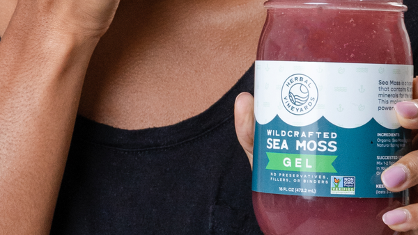 Sea Moss Desserts to Satisfy Your Sweet Tooth