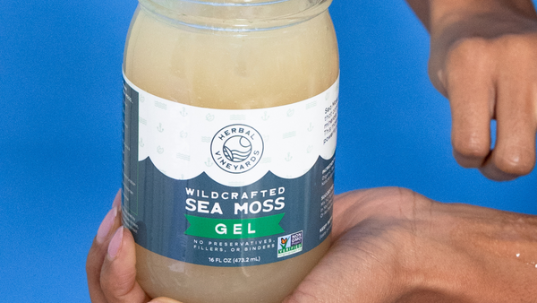 Sea Moss and Gut Health: Connecting the Dots