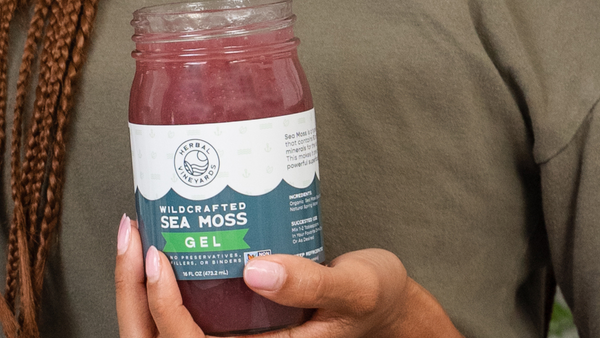 Sea Moss Health Benefits in Pregnancy