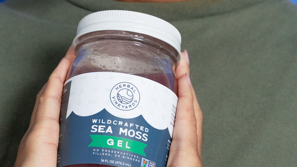 3 Easy and Delicious Drinks Featuring Sea Moss Gel