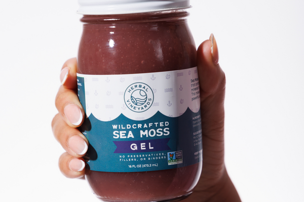Sea Moss Ice Cream: Dairy-Free Treats