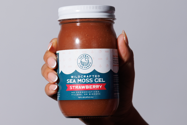 Fun Facts about Sea Moss You Might Not Know!