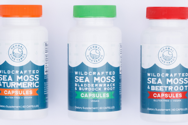 Sea Moss vs. Spirulina: Which Is the Better Option?