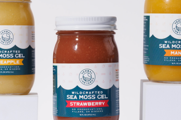 Sea Moss for Lifting Brain Fog and Promoting Mental Clarity