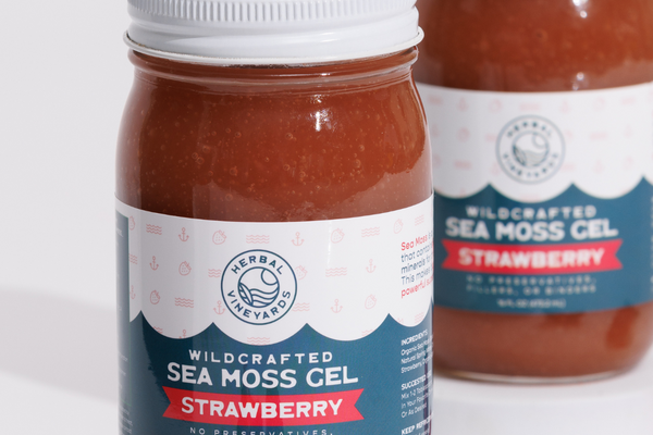 Unlock Your Skin’s Glow: The Secret Power of Sea Moss