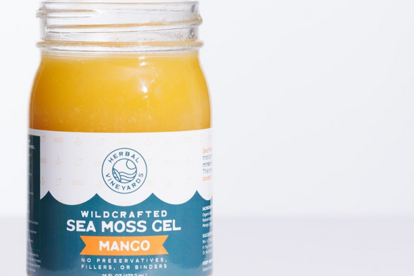 Why Dermatologists Think Sea Moss for Healthy Skin is a Good Idea