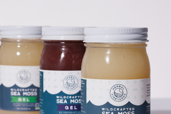 Sea Moss and Kombucha – The Next Big Trend?