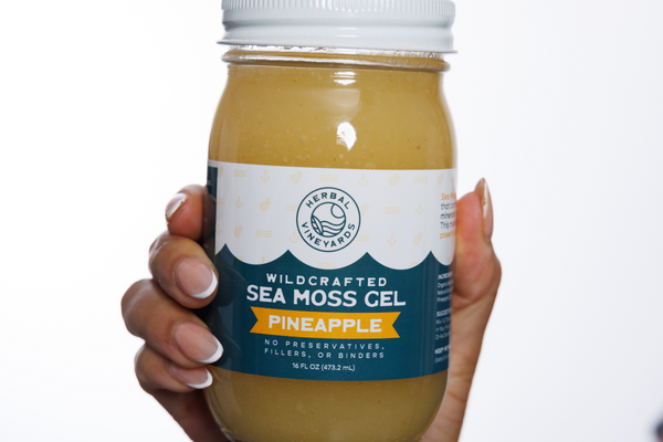 Sea Moss for Silky, Smooth, and Stylish Hair!