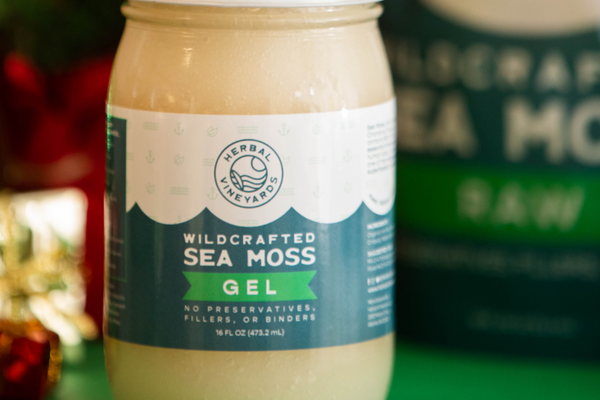 Try This Simple Sea Moss Gel Recipe Today!