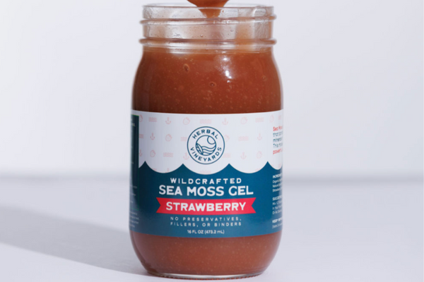 A Quick Guide to the Benefits of Sea Moss aka Ocean’s Superfood!