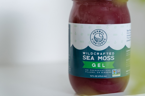 Sea Moss Soup