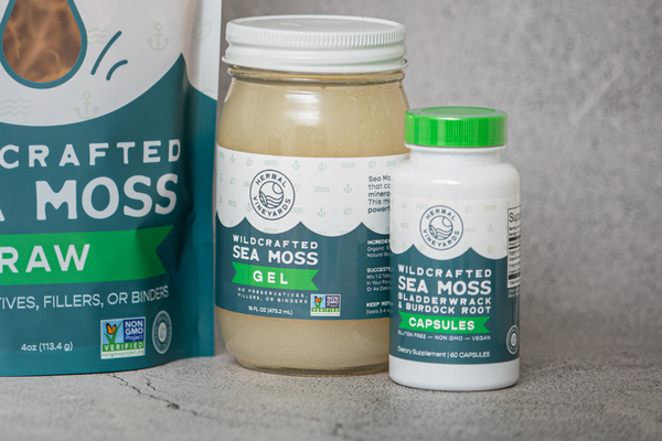 Sea Moss's Potential in Biomedical Applications