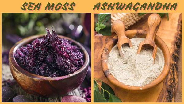 Sea Moss and Ashwagandha