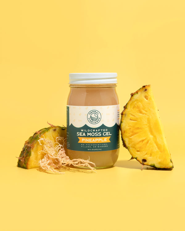 WHOLESALE PINEAPPLE SEA MOSS GEL CASE  (12 JARS EACH CASE)